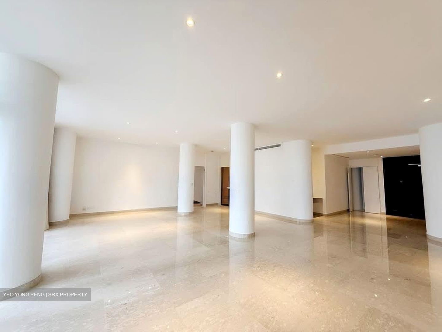 The Colonnade (D10), Condominium #563474711